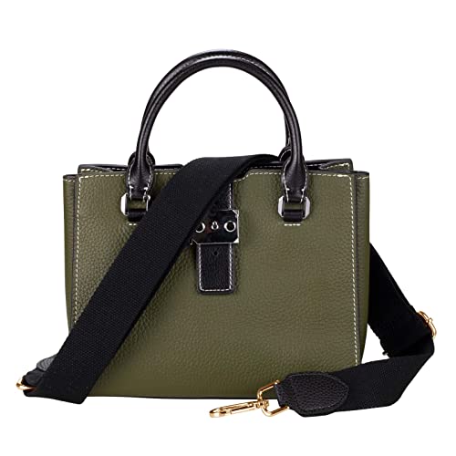 Allzedream Purse Straps Replacement Crossbody Bags Handbag Wide Canvas Leather Adjustable - color: Black, Gold Hardware
