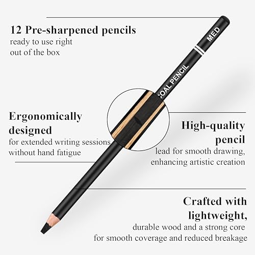 Aenir Charcoal Pencils for Drawing,（S-Soft, Soft, Medium, Hard 12 Pieces | Charcoal Drawing Pencils for Drawing, Sketching, Shading, Smooth, Art Supplies for Artist and Beginners - color: Black