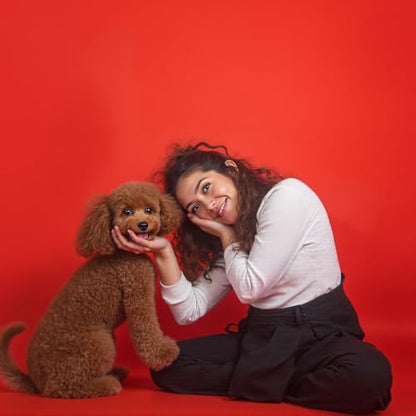 Kate Seamless Paper Backdrop Red Paper Backdrop Seamless Backdrop Paper Rolls (53''x32.8' Scarlet) - color: Scarlet, size: 53''x32.8'