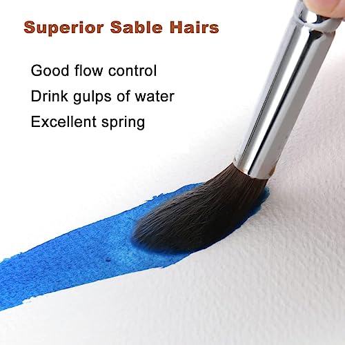 Sable Watercolor Brushes Professional, Fuumuui 8Pcs Sable Brush Set Variety Shapes with Flat, Round Pointed, Liner, Cat's Tongue Oval Wash Perfect for Watercolor Acrylic Gouache Inks Painting - color: Tan