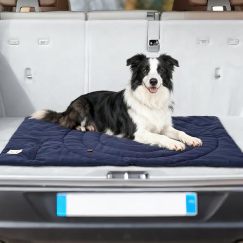 Lightly Padded Roll-Up Travel Dog Mat Settle & Place Training - color: Brown, size: Medium(37.4"x25.6")