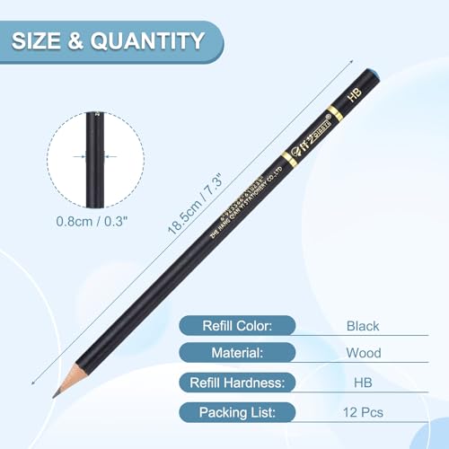 PATIKIL 12Pcs Drawing Pencils for Sketching, HB Refill Sketch Pencils for Drawing, Graphite Art Pencil Set Professional Resistant Lead for Painting Shading Artist Office Supplies - size: HB