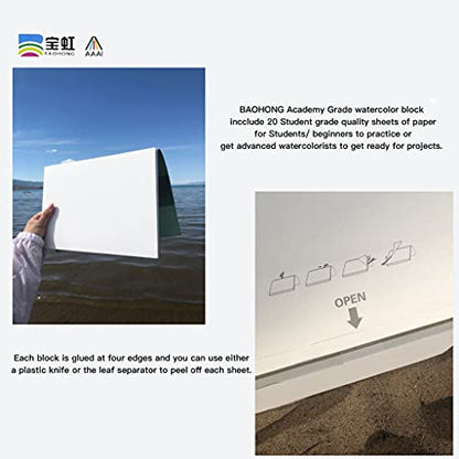 BAOHONG Academy Grade Watercolor Block, 100% Cotton, Acid-Free, 140LB/300GSM, Cold Press Textured, 20 Sheets per Block (2 of Cold Press 10.2"x7" Block) - size: Cold Press 10.2" x 7" (2 Blocks)