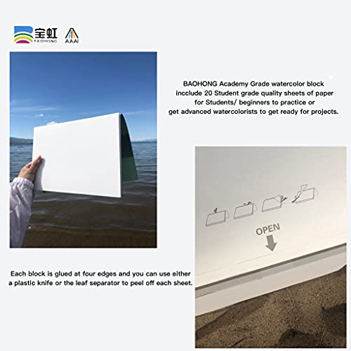 BAOHONG Academy Grade Watercolor Block, 100% Cotton, Acid-Free, 140LB/300GSM, Cold Press Textured, 20 Sheets per Block (2 of Cold Press 10.2"x7" Block) - size: Cold Press 10.2" x 7" (2 Blocks)
