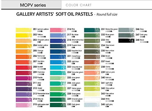 MUNGYO Gallery Artists' Soft Oil Pastels Professional, 48 Assorted Colors, Vibrant and Blendable