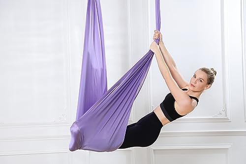 5.5 Yards Aerial Silks Yoga Swing Set - Aerial Yoga Hammock Kit Anti-Gravity Flying for Fitness, Low/Non Stretch Nylon Tricot Fabric Hardware Included for Dance - color: Lilac1