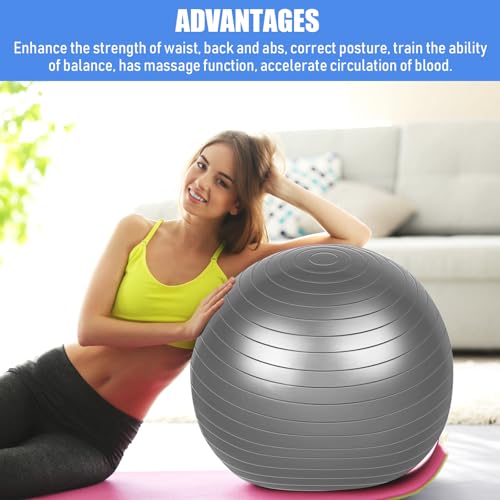 Leyndo 4 Pcs 26 Inch Yoga Exercise Ball Pilates - color: Gray