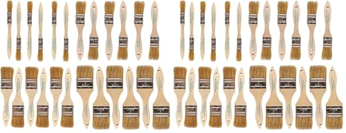 Pro Grade - Chip Brush – Paint Brush Set – 48 Pack - Natural China Bristle Paintbrush Set for Art, Craft, Epoxy, Varnish, Resin, Stain, Glue, Gesso, Primer, Acrylic and Oil Paint - size: 24Pc. Var. (Pack of 2)