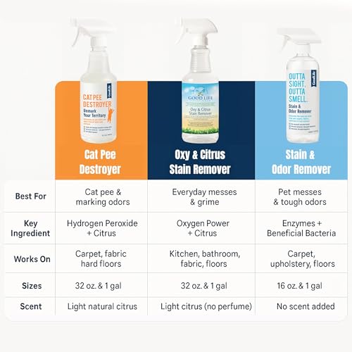 Natural Odor and Stain Remover Spray - Unscented Plant-Based Child & Pet Safe Cleaner Earth-Friendly Odor Eliminator Eco Cleaning Products for Home, Carpet (1 Pack, 1 Gallon) - size: 128 Fl Oz (Pack of 1)