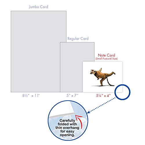 The Best Card Company - 20 Blank Yoga Animal Cards (4 x 5.12 Inch) - All Occasion Set (10 Designs, 2 Each) - Zoo Yoga AM6547OCB-B2x10 - style: Zoo Yoga