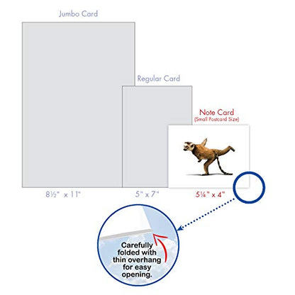The Best Card Company - 20 Blank Yoga Animal Cards (4 x 5.12 Inch) - All Occasion Set (10 Designs, 2 Each) - Zoo Yoga AM6547OCB-B2x10 - style: Zoo Yoga