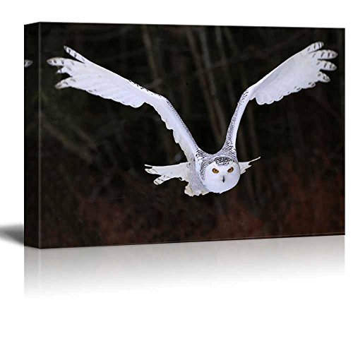 Canvas Prints Wall Art - A Flying Snowy Owl Animal/Bird Photograph | Modern Wall Decor/Home Decoration Stretched Gallery Canvas Wrap Giclee Print & Ready to Hang - 12" x 18" - color: Flying Snowy Owl, size: 18"L x 12"W