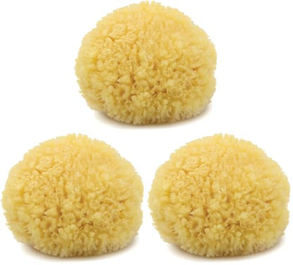 Neptune Caribbean Sea Sponge for Face & Body, Medium Approx. 5-6 Inch, Ultra-Soft Bath Sponge, Eco-Friendly & Biodegradable (Pack of 3) - size: 1 Count (Pack of 3)
