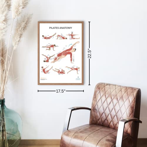 Anatomy Lab Pilates Anatomy Poster, LAMINATED, Pilates Wall Chart | 17.3 x 22.5 Inches, Anatomy and Physiology, Wall Pilates Exercise Chart, Workout Poster - color: Pilates