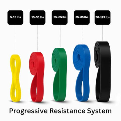 Thorza Full Body Workout Set, 7-Piece Resistance Bands, 5 Resistance Levels