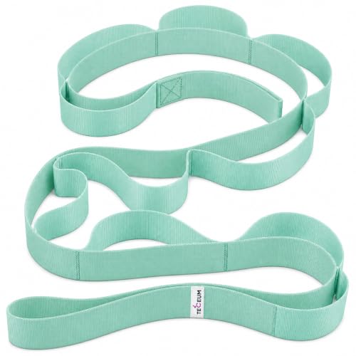 TECEUM Stretching Strap with 10 Loops for Physical Therapy & Rehab | Non-Elastic Yoga Stretch Band for Hamstring, Leg, Hip & Knee Rehab, Pilates, Flexibility & Mobility Exercises for Men & Women - color: Light Green, size: Polypropylene 1.5” W - 10 Loops