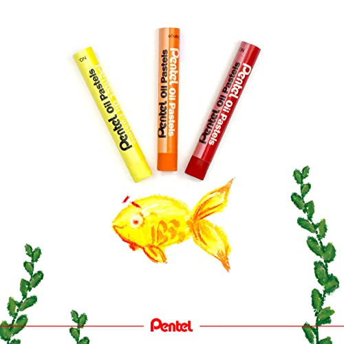 Pentel Arts Oil Pastels Class Pack Brilliant Fade Resistant Colours Long Lasting 36 (Packs of 12 Colour) - size: 1 Count (Pack of 36)