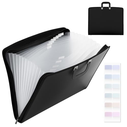 Dunzoom 1 Pack 11 x 17 Art Portfolios, Expanding File Organizer with 13 Pocket for Artwork, Plastic Clear Portfolio Holder Document Binder with Handle, Zipper and 120 Pcs Sticky Labels (Black) - color: Black