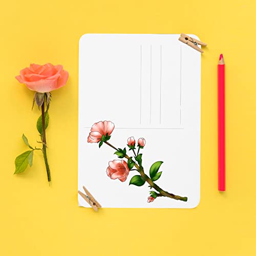 24pcs 4x6 Inch Watercolor Postcards, Blank Watercolor Cards 140lb Watercolor Paper Cards Art Supplies for Christmas Thanksgiving Invitation Card Greeting Card DIY