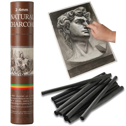 25 PCS Willow Charcoal Sticks, Ideal for Artists, Beginners, Students, Perfect for Sketching, Drawing, Shading, and Fine Art, 5.7 Inches Long, 2-4,4-5,5-7,7-9 (2-4) - style: 2-4