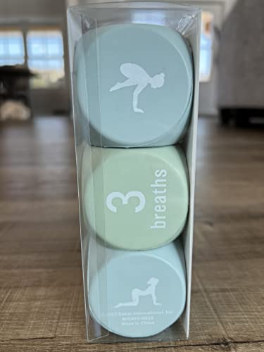 Vivitar Yoga Dice Set