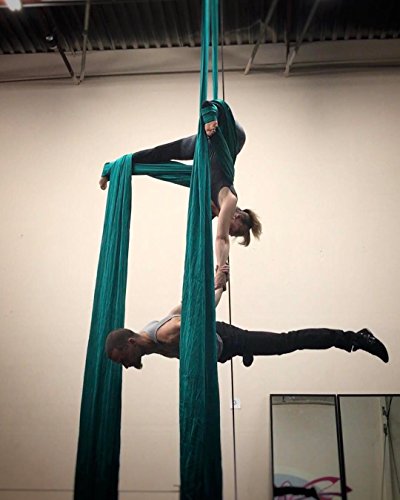 F.Life Aerial Silk 10 Yards Kit Durable Aerial Yoga Hammock with Hardware & Guide Aerial Swing for Acrobatic Flying Yoga - color: Dark green