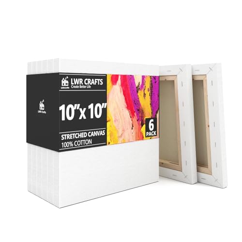 Stretched Canvas 10" X 10" Pack of 6 - size: 10"x10"x6