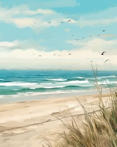 Tucocoo Seaside Beach Paint by Numbers Kits 16x20 inch Canvas DIY Oil Painting for Kids, Students, Adults Beginner with Brushes and Acrylic Pigment Beach Scenery Landscape Decor Photo Gift(DIY Frame) - color: Beach Scenery 06, size: 16''x20''(DIY Frame)