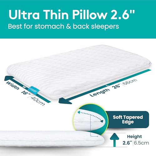 BLISSBURY Stomach Sleeper Pillow, Thin Flat Memory Foam Pillow, 2.6 Inch - color: White, size: 2.6"H (Queen)