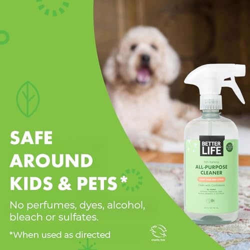 Better Life All Purpose Cleaner - Plant Based Home and Kitchen Cleaning Spray for Glass, Countertops, Appliances, Upholstery & More - Multi-surface Spray Cleaner - 24oz Clary Sage & Citrus - size: 24 Fl Oz (Pack of 1)