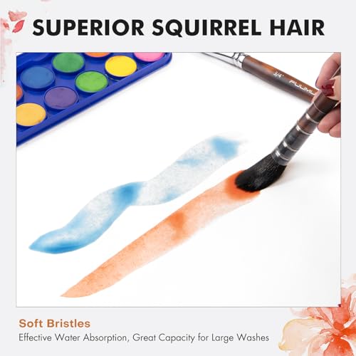 Watercolor Brushes Professional, Fuumuui 9pcs Sable Paint Brushes & Natural Squirrel Mop Brush Set with Extended Needle, Round Point, Flat, Dagger, Quill Wash for Watercolor Gouache Inks - color: Bronze