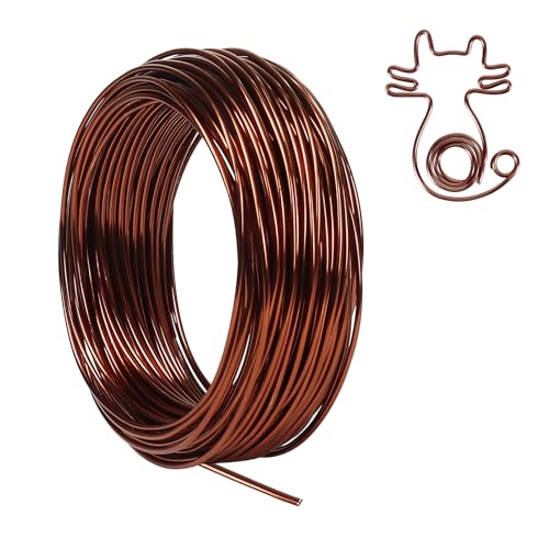 Tenn Well 100ft 12 Gauge 2mm Aluminum Wire Bronze Bendable for Bonsai | Craft wire for floral making, sculpting, armature, jewelry making - color: Bronze, size: 12 Gauge