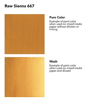 Daler-Rowney FW Acrylic Artists Ink, 1 oz, Raw Sienna (160029667) - color: Raw Sienna