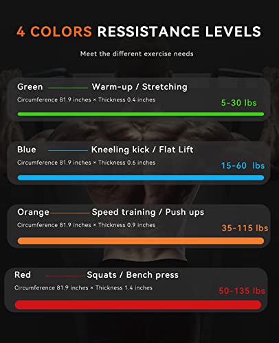 SUNPOW Pull Up Assistance Bands, Set of 5 Heavy Duty Resistance Bands for Men & Women, Natural Latex Exercise Bands for Pull-Up Progression, Home Workout, Strength Training, Mobility & Stretching - color: Multicolor（5-135lbs）