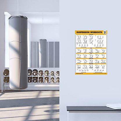 Palace Learning 3 Pack Suspension Workout Posters - Volume 1, 2 & 3 - Exercise Charts