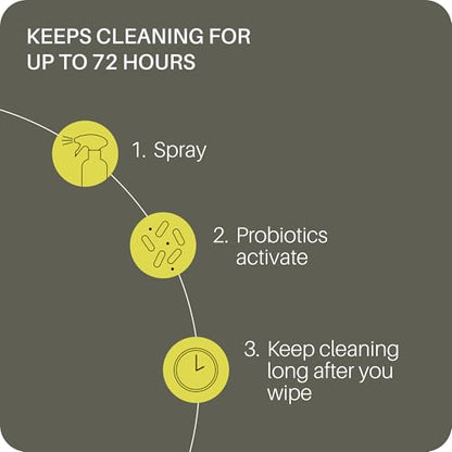 Everneat Probiotic Surface Cleaner Concentrate – Cleans for Days, Refillable, Non-Toxic | Glass Spray Bottle | Unscented | 1 oz (Just Add Water)