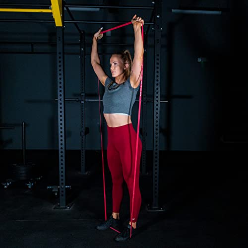SERIOUS STEEL FITNESS Assisted 41" Pull-Up Band, Resistance & Stretch, Powerlifting & Pull-up Assist Loop (Single Band) - style: #2 (10-50 lbs)