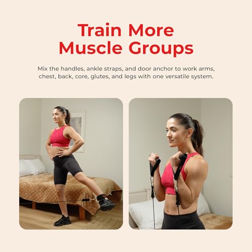Sunny Health & Fitness Resistance Band Set/Ankle Strap for Home Gym - style: NO. 089-COMBO