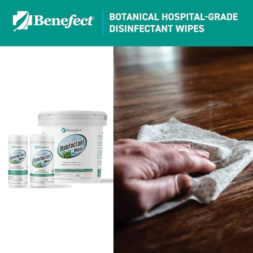 Benefect 식물성 소독 물티슈 - (250개) 천연, 잔여물 없음 - 항균 소독제, 다중 표면 청소 및 살균 물티슈 - size: 250 Count (Pack of 1)