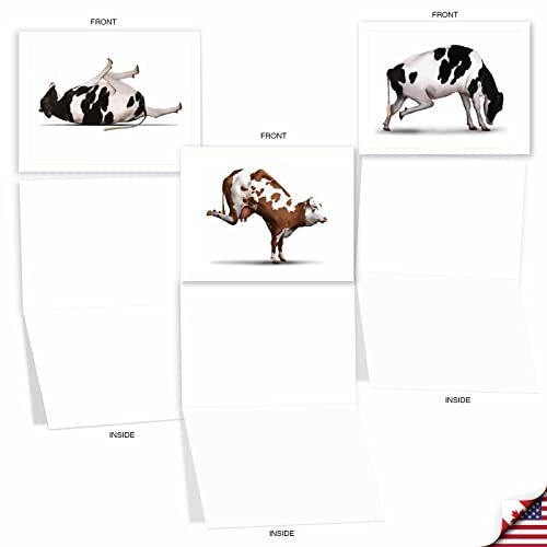 The Best Card Company - 10 Blank Yoga Note Cards (4x 5.12 Inch) - Boxed Notecards with Envelopes, Cute Animal Cards, Zen Assortment - Bovine Nirvana M6545OCB - style: Bovine Nirvana