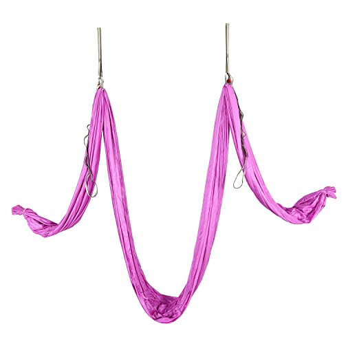 HECASA Aerial Silks Yoga Swing Set, Aerial Yoga Hammock w/Daisy Chain for Home, Inversion Exercises, Strength Training and Starter Kit - color: Violet, size: 6.5 Yards