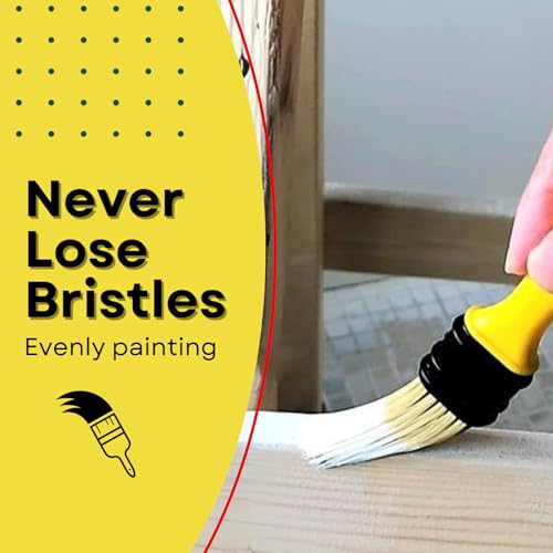 Not Chip Brush Set Assorted Size 40 Pack, Never Lose Bristles | Paint Brushes for Walls, 100% Plastic, for Paint, Glues, Stains and Single material - size: Multi Size, 40 pcs