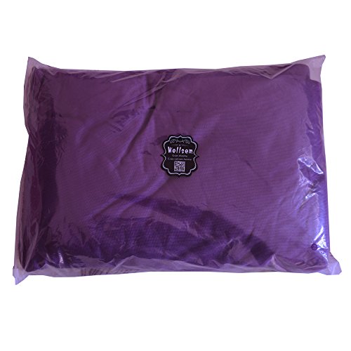 Aerial Yoga Hammock 5.5 Yards Yoga Swing Pilates Silk Home Gym Fitness Include hardware,Daisy Chain, Pose Guide - color: Depp Purple