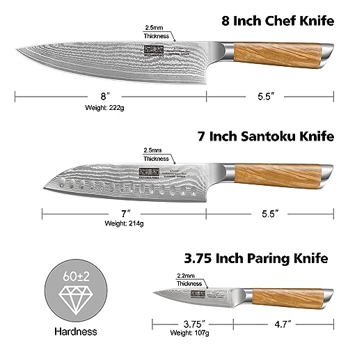 HOSHANHO Damascus Kitchen Knife Set 3PCS, Sharp Chef/Santoku/Fruit Knives | Professional Cooking Knife Set | Japanese Super Steel | 15° Edge | 62 HRC | Ergonomic Olive Wood Handle | Housewarming Gift - style: 3 Pieces Knife Set