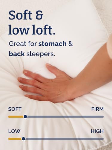 100% Cotton Bed Pillows - Queen Size Set of 2 - 20" x 30" (White) - size: Queen