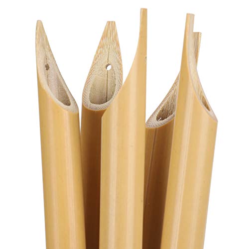 AYNEFY Comic Dip Pen Set, 5Pcs Wooden Handle Calligraphy Dip Pen Set with 5 Nibs Artist Cartoon Pen Set Cartoon Painting Tool Manga Dip Pen Signature Pen (Bamboo Tip Set) - size: Natural Bamboo Tip Set
