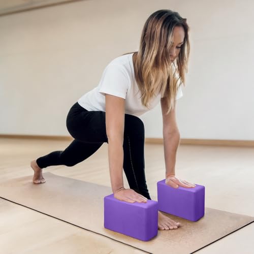 2 Pack Yoga Blocks, Lightweight 3x6x9in Yoga Bricks - color: 2PACK-Deep Purple