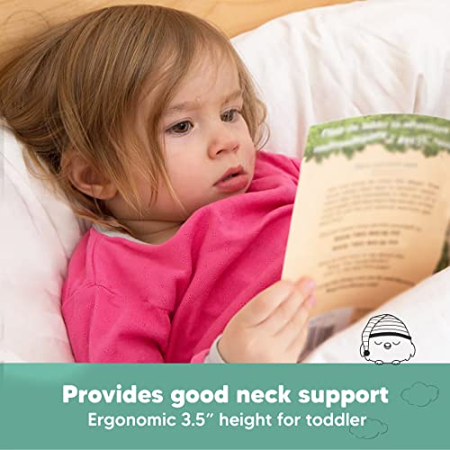Toddler Pillow with Pillowcase, 13x18 My Little Dreamy Pillow (Soft White) - color: Soft White