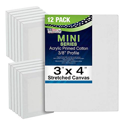U.S. Art Supply 3x4 Mini Canvases for Painting, 12 Pack Bulk | Small Stretched Artist Canvas Professional Primed - Ideal for Arts & Crafts - size: 3" x 4" - Pack of 12