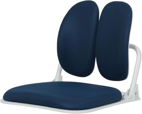 Ergonomic Dual-Backrests Floor Chair with Back Support (Blue) | Reduce pressure on your back by up to 50% - color: Blue